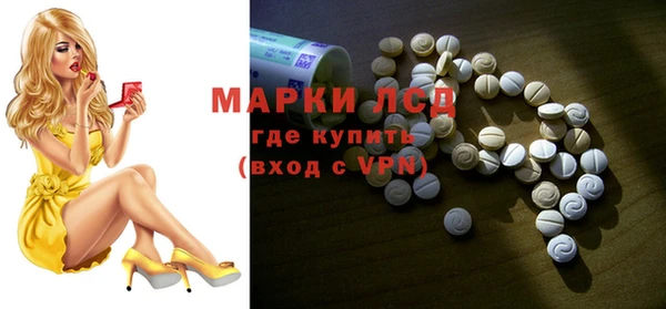 PSILOCYBIN Горнозаводск