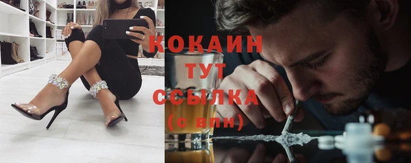 PSILOCYBIN Вязники
