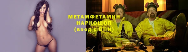 крисы Горняк