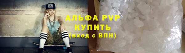 крисы Горняк
