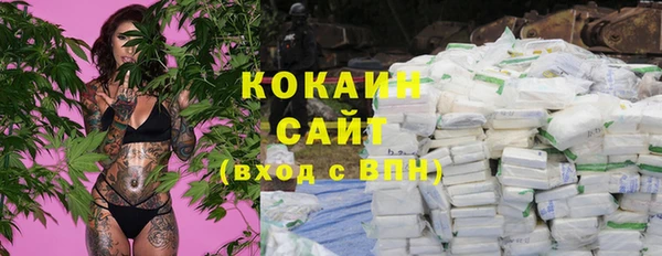 PSILOCYBIN Вязники