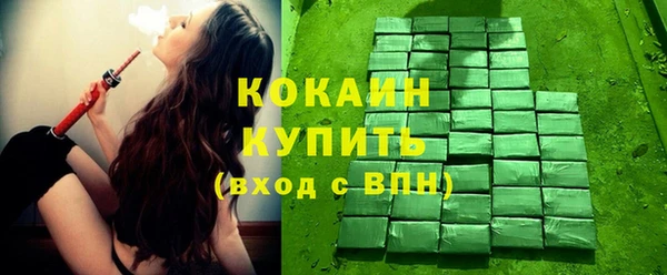 крисы Горняк