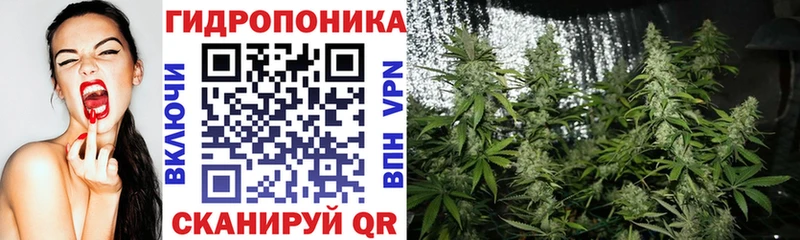 Марихуана сатива  Емва 